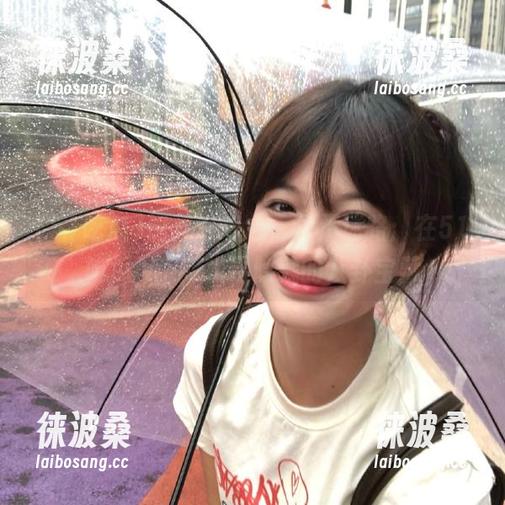 51吃瓜 饲养好奇心,永不迷路:在51吃瓜fun网找寻隐藏的八卦宝藏