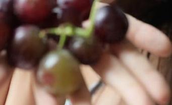 我这样无聊的在网页闲逛，下载51吃瓜还能突然变得兴致勃勃？