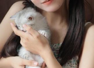 5i吃瓜网今日全场免费？我的心脏能否承受这种狂喜！