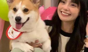 更新了？“heiliao.su”会不会又有惊人的八卦来袭？