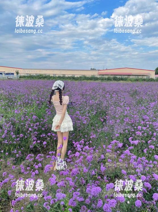 一份瓜评，永久留存；吃瓜君让我欲罢不能