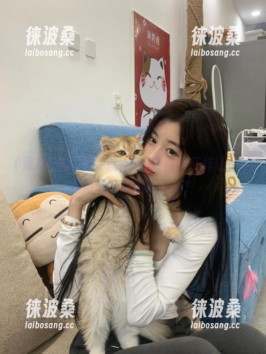 导航go，黑料不打烊让你瞌睡时光转成围观派对！