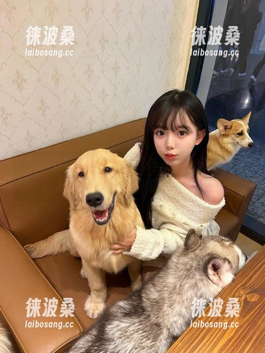 黑料不打烊在线，光辉正能量从奇葩评论中喷涌而出！