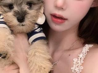 黑料不打烊，再不查这个地址，seog都快成热门话题了！