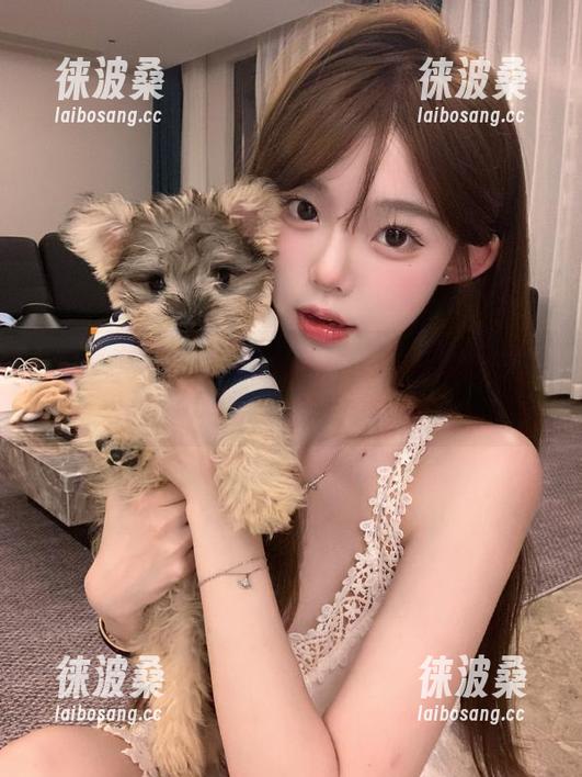 黑料不打烊，再不查这个地址，seog都快成热门话题了！