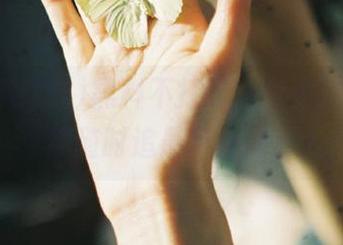 黑料不打烊，永不迷路，陪你随时追最新热闻！
