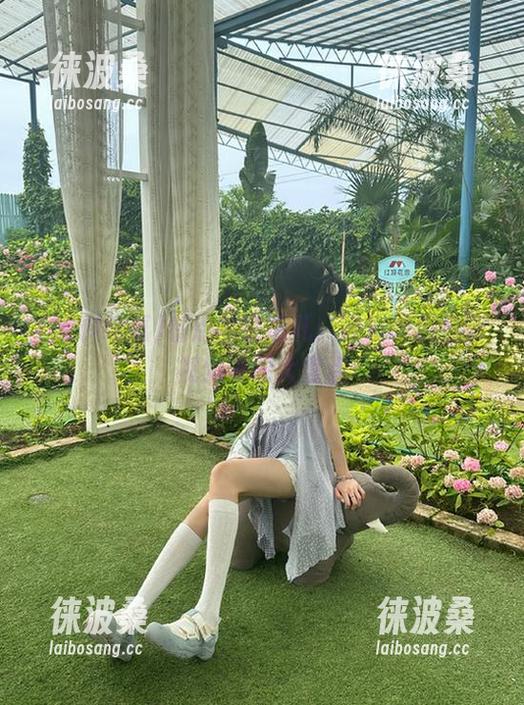 看点全在这儿：黑料吃瓜最新视频资源大盘点