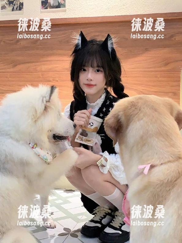 永不迷路？不如在黑料在线随意遛！一不小心变吃瓜王！