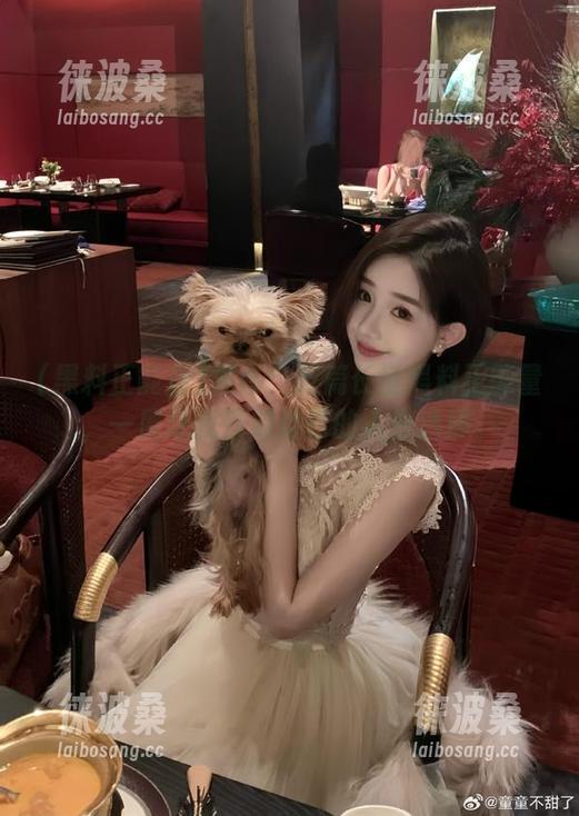 发布！万篇长征黑料正能量，一度让我怀疑自己的人生选择。