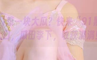 想一块大瓜？快来“91黑料社”入口，瓜田李下，收获满满！