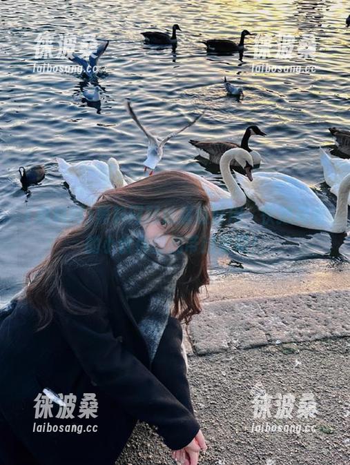 黑料网网址超级好用，快把周围的小伙伴都拐带过来吧！